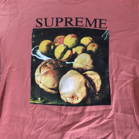 supreme still life tee terra cotta
